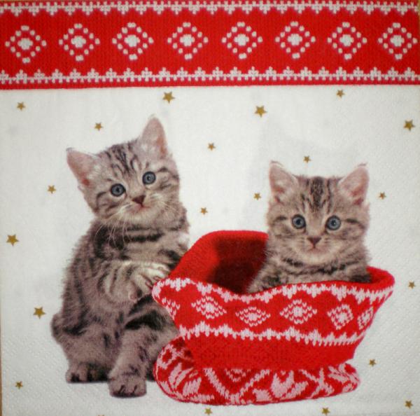 044 Katzen - 3-lagig - Stewo